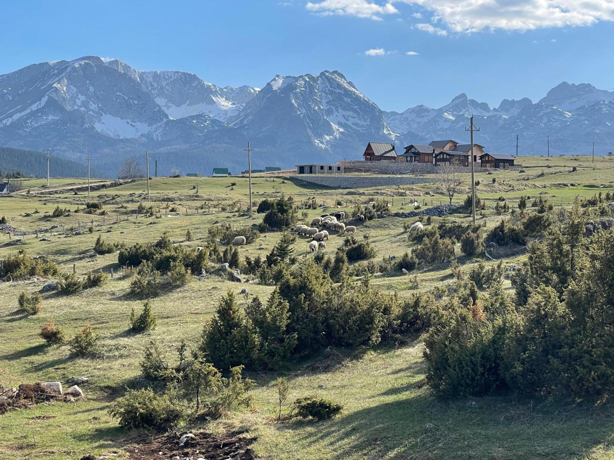 Peaksview Chalets Žabljak Kültér fotó